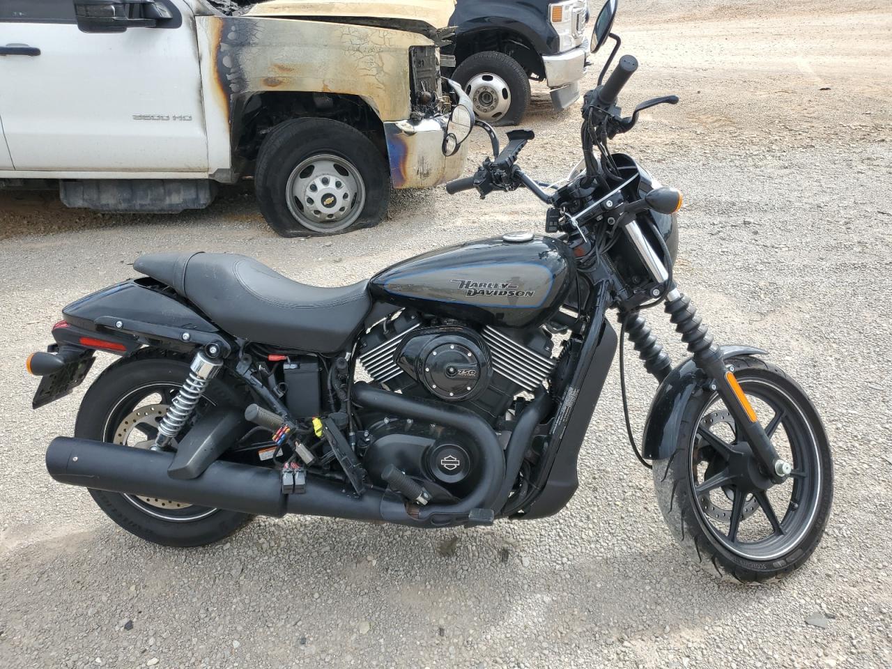 Harley Davidson XG750 / Street 750 2019 