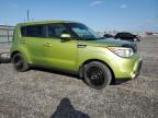 KIA SOUL + photo