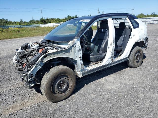 2019 TOYOTA RAV4 XLE - 2T3RWRFV6KW023388
