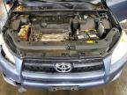 TOYOTA RAV4 photo