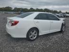 TOYOTA CAMRY L photo