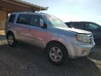 HONDA PILOT EXL photo