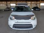 KIA SOUL + photo