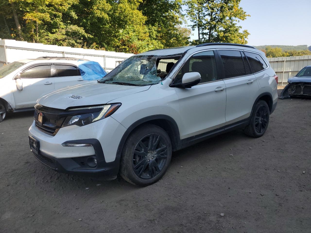 Lot #2952988387 2022 HONDA PILOT SE