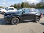 LEXUS NX 350H BA photo