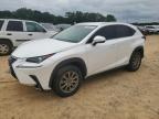 LEXUS NX 300H photo