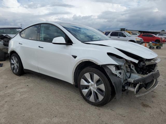 2021 TESLA MODEL Y - 5YJYGDED3MF134168