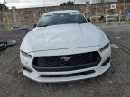 Lot #3033555086 2024 FORD MUSTANG