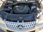 MERCEDES-BENZ ML 350 photo