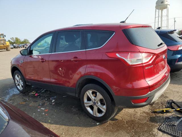 VIN 1FMCU0GX1EUA67481 2014 Ford Escape, SE no.2