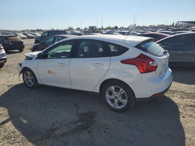 FORD FOCUS SE 2014 white hatchbac gas 1FADP3K26EL458876 photo #3