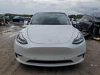 TESLA MODEL Y photo