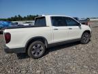 HONDA RIDGELINE photo