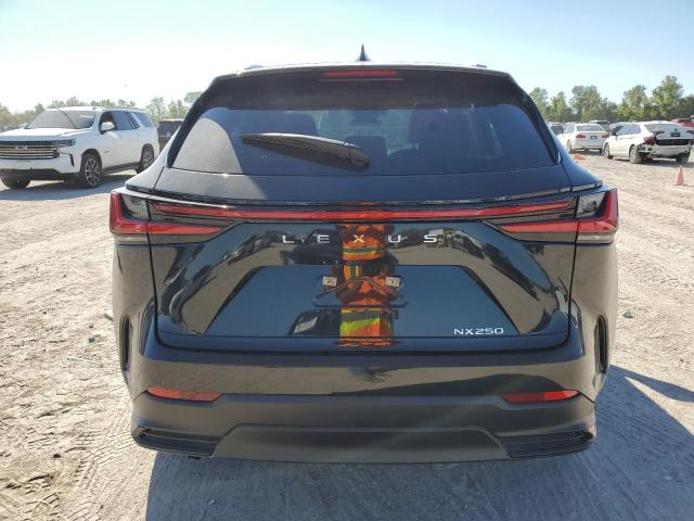 2024 LEXUS NX 250 BAS 2T2ADCAZ9RC013724