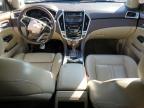 CADILLAC SRX LUXURY photo