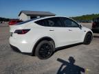 TESLA MODEL Y снимка