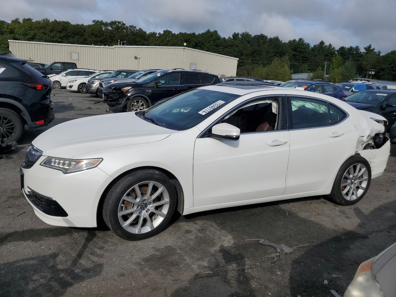 Lot #2960005346 2015 ACURA TLX TECH