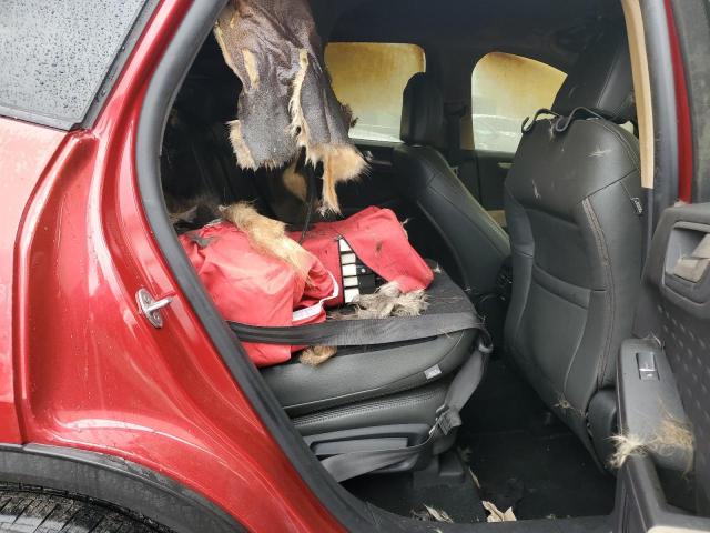 2020 FORD ESCAPE SE - 1FMCU0G60LUA67508