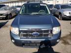 FORD ESCAPE XLT photo