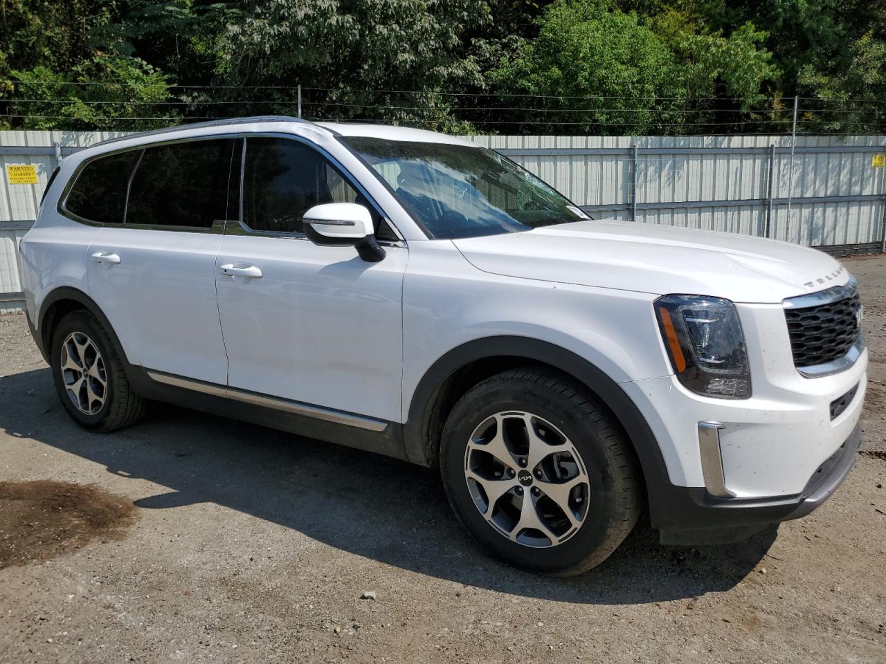 Lot #2972373496 2022 KIA TELLURIDE