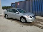 NISSAN ALTIMA BAS photo