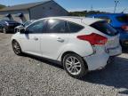 FORD FOCUS SE photo