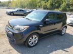 KIA SOUL + photo