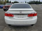 HONDA ACCORD SPO photo