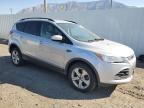 FORD ESCAPE SE photo