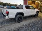 TOYOTA TACOMA DOU photo