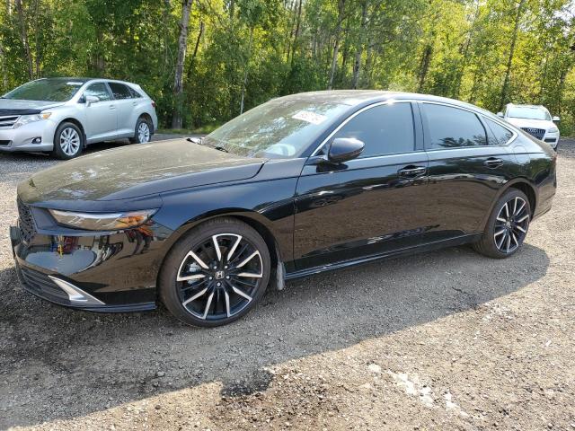 2024 HONDA ACCORD TOU - 1HGCY2F81RA801351