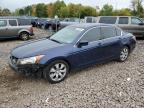 HONDA ACCORD EXL photo