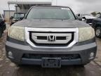 HONDA PILOT EXL photo