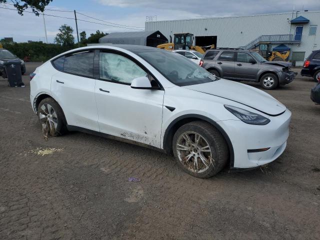 2020 TESLA MODEL Y - 5YJYGDEE2LF026213