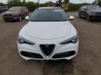 ALFA ROMEO STELVIO SP photo