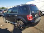 FORD ESCAPE XLT photo