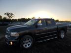 Lot #3023404238 2014 RAM 1500 LONGH