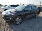 2020 FORD ESCAPE SEL - 1FMCU9H92LUB32730