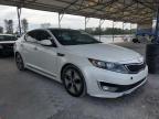 KIA OPTIMA HYB photo