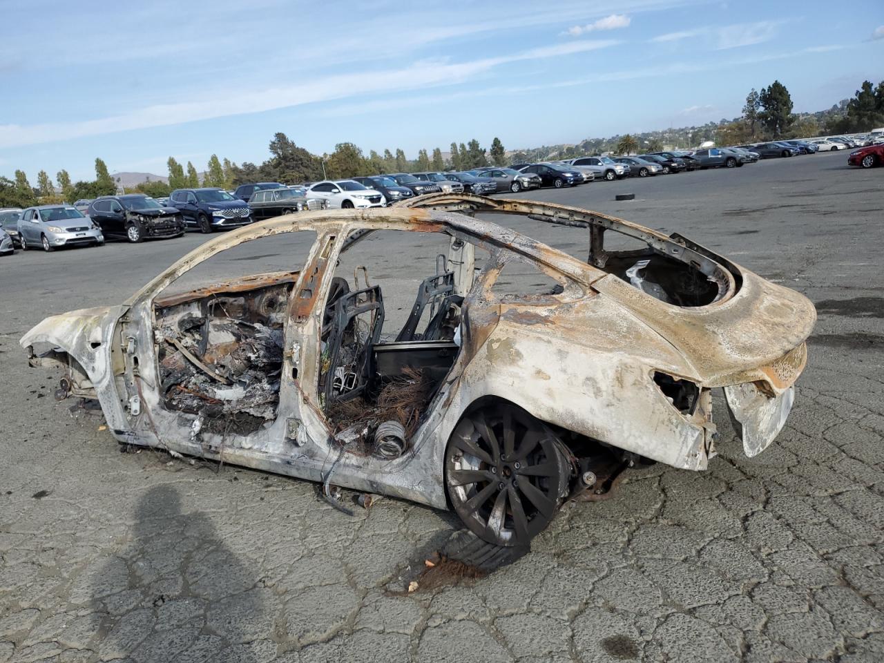 Lot #2974686022 2021 TESLA MODEL 3