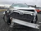 Lot #2938351697 2021 TOYOTA RAV4 XLE P