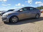 HYUNDAI ELANTRA SE photo