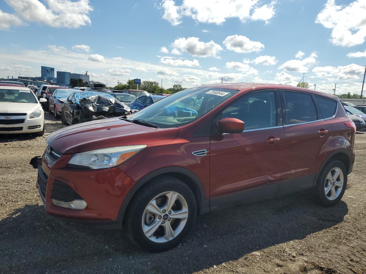 Lot #2902485924 2014 FORD ESCAPE SE