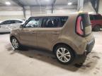 KIA SOUL + photo