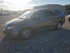 HONDA ODYSSEY EX photo