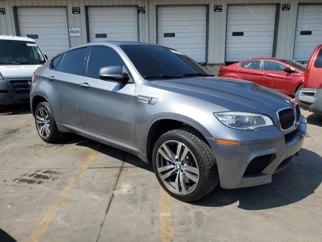 VIN 5YMGZ0C5XDLL29831 2013 BMW X6 no.4