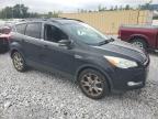 FORD ESCAPE SEL photo