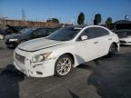 Lot #3029906243 2014 NISSAN MAXIMA S