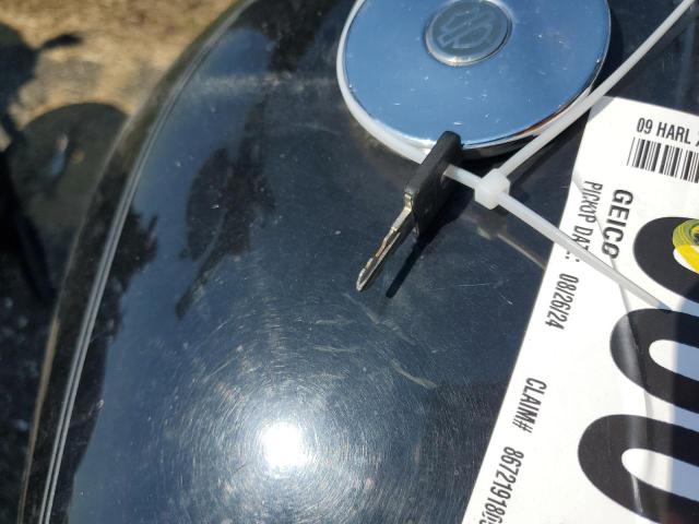 2009 HARLEY-DAVIDSON XL1200 L 1HD1CX3159K403559