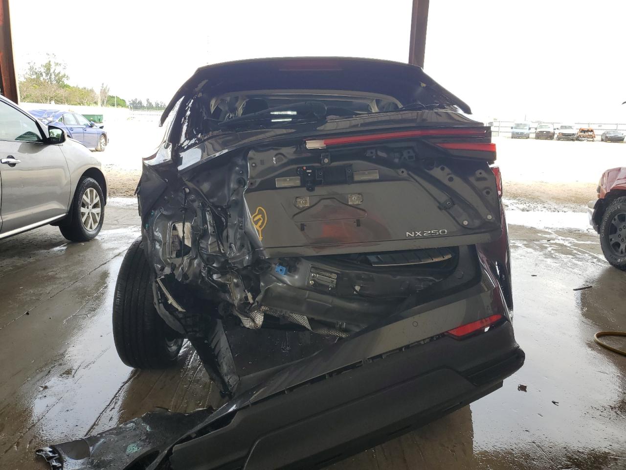 Lot #2989257746 2023 LEXUS NX 250